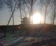 肇源天气预报5天