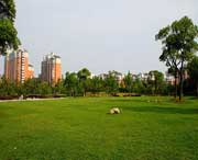 大宁天气预报一周