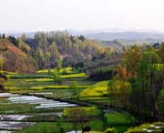 洋县天气预报一周