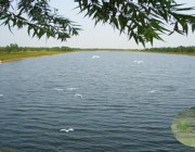 商河天气预报40天