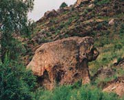 福海天气预报一周
