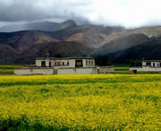 拉孜天气预报10天