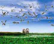 贺兰天气预报10天