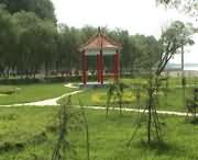 原阳天气预报5天