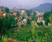 大悟天气预报一周