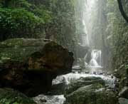 广水天气预报一周