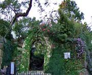 临安天气预报5天