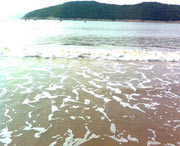 象山天气预报15天