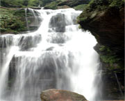 天台天气预报5天