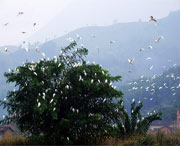 龙泉天气预报5天