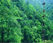 庆元天气预报5天