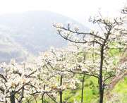 五河天气预报5天