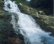 长泰天气预报5天