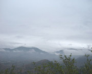 诏安天气预报一周