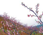 建宁天气预报一周