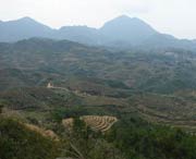 大田天气预报一周