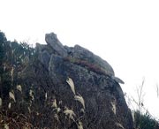 松溪天气预报10天