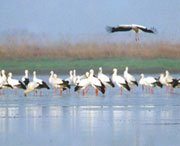 新建天气预报5天