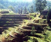 桂东天气预报10天