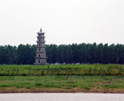 沅江天气预报10天