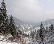 武冈天气预报一周