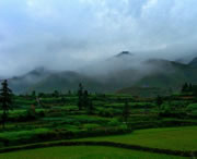 台江天气预报一周