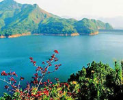 泸县天气预报40天