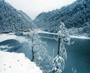 古蔺天气预报40天