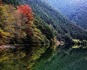 南雄天气预报40天