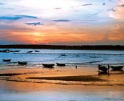 吴川天气预报一周