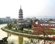 罗定天气预报40天