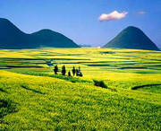 罗平天气预报一周