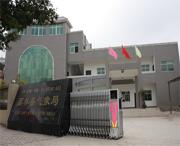 西林天气预报一周